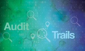 audit-700x420-1