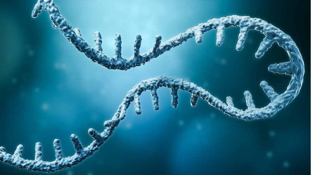 Oligonucleotide