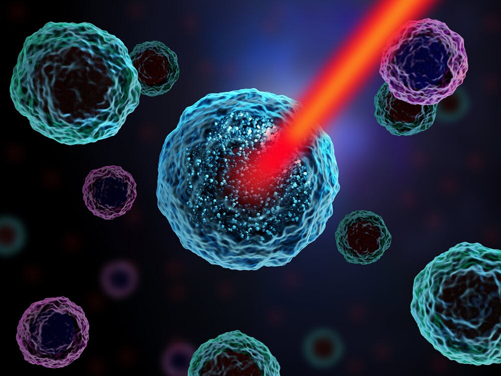Cells in single-cell proteomics