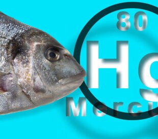 Detecting mercury in cod and tuna