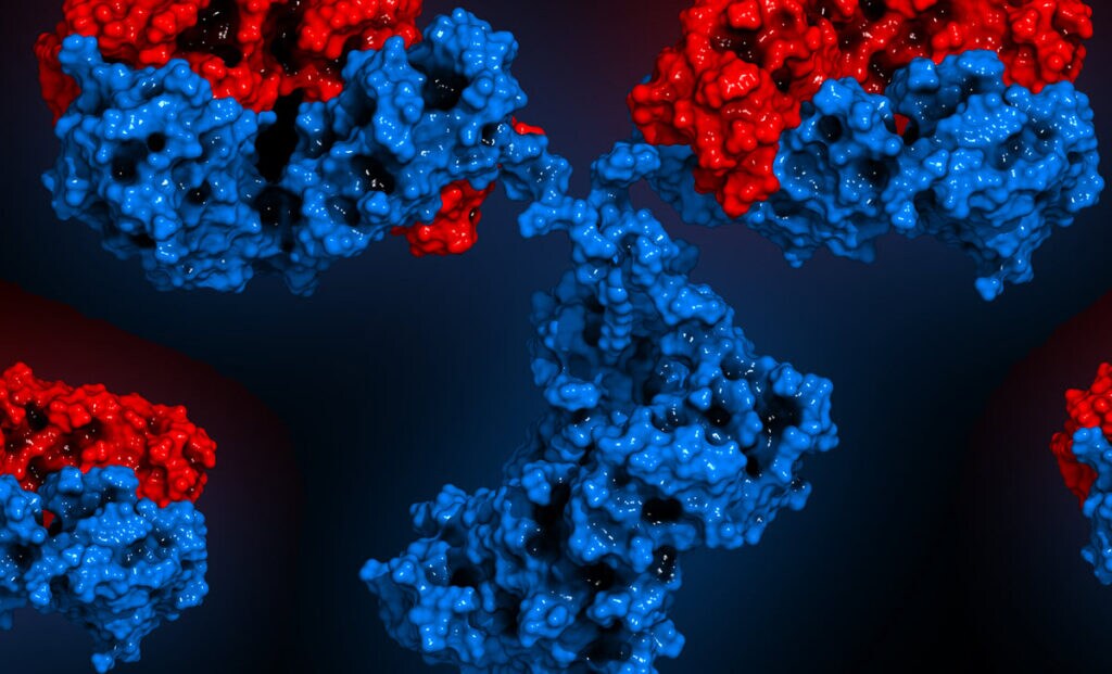 Protein characterization