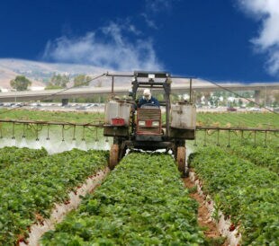 PFAS and pesticide analysis