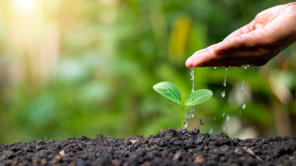 Tackling PAH Analysis in Environmental Samples: Overcoming the Challenges with Advanced GC-MS Technology