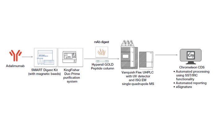 Figure 1. Schematic of a workflow of mAb impurity analysis including sample preparation, data acquisition, data processing, and reporting.