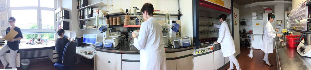 What was you first scientific job? (you actually got paid to do science?)