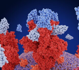Imaging Large Multiprotein Complexes Using Native Nano DESI Mass Spectrometry