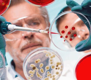 AAV-SEC Analysis: Top 3 Takeaways From the Latest Article