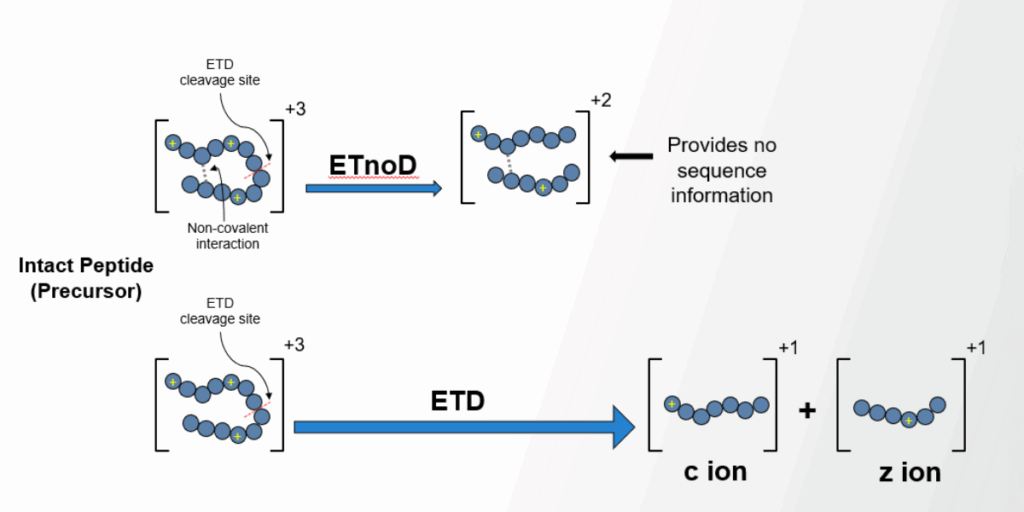 ETD