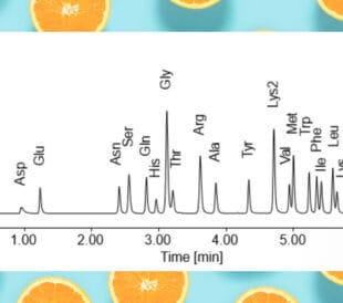Amino acid chromatogram showing labeled peaks over a 7-minute separation time.
