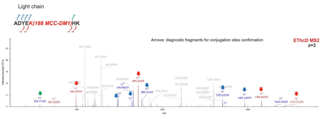 EThcD MS² of ADYEK(188-MCC-DM1)HK with diagnostic c and z ions that localize the DM1 conjugation site at K188.