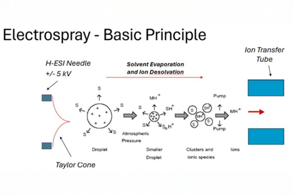 Basic principle of electrospray ionization