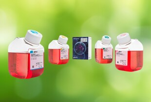 BenchStable Media products on a sustainability background