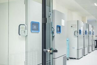 ULT Freezers in a line