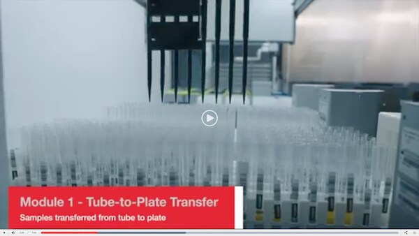 Amplitude Solution workflow