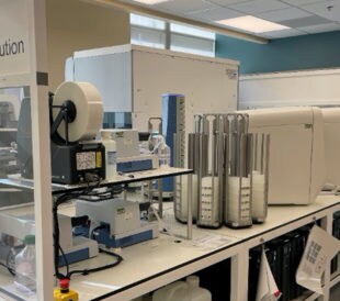 The Amplitude Solution for COVID-19 testing at the University of Colorado