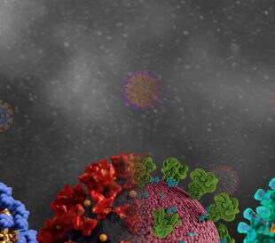 Image: coronavirus mutations and variants