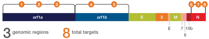 A graph showing 3 genomic regions