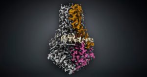Cryo-EM structure of dimeric 3a ion channel from SARS CoV-2 membrane protein research.