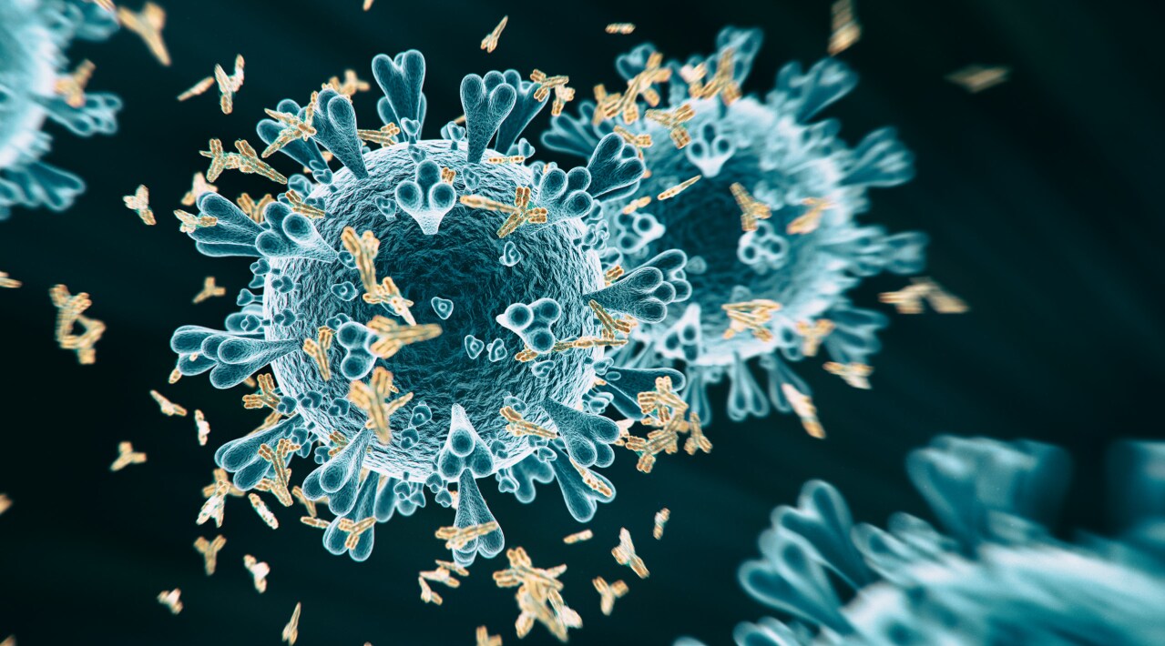 epitope mapping of SARS-CoV-2 spike