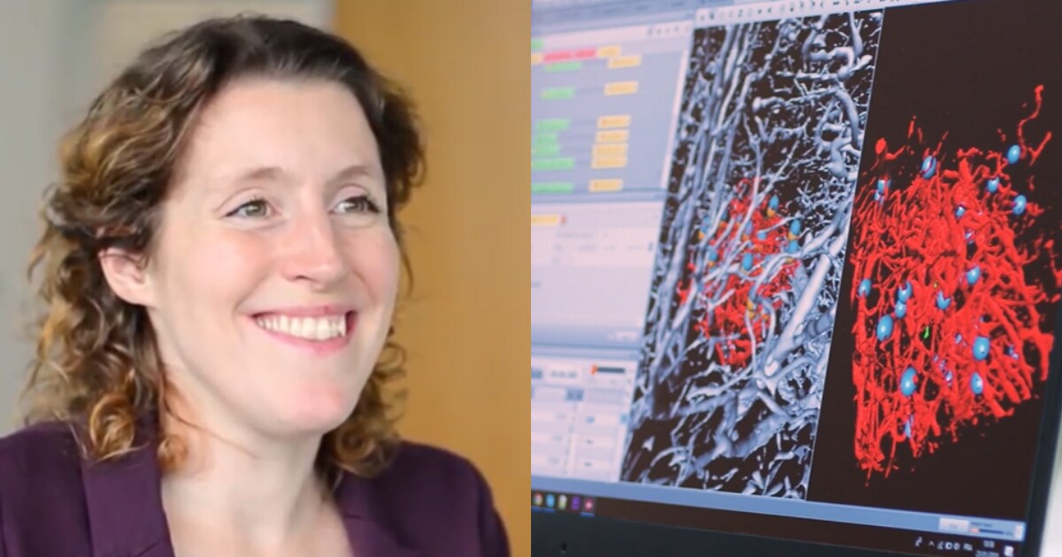 Correlative microscopy using Amira Software with Matthia Karreman