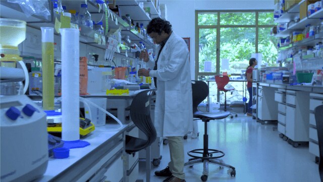 Dr. Vinothkumar working in his lab.