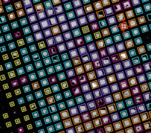 Single particle analysis software categorizing a cryo-EM grid