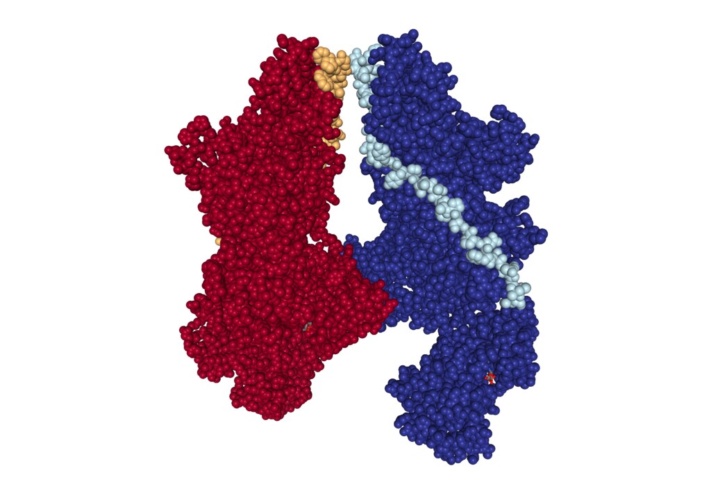 Janus Kinase structure determined with cryo-EM Janus Kinase structure determined with cryo-EM
