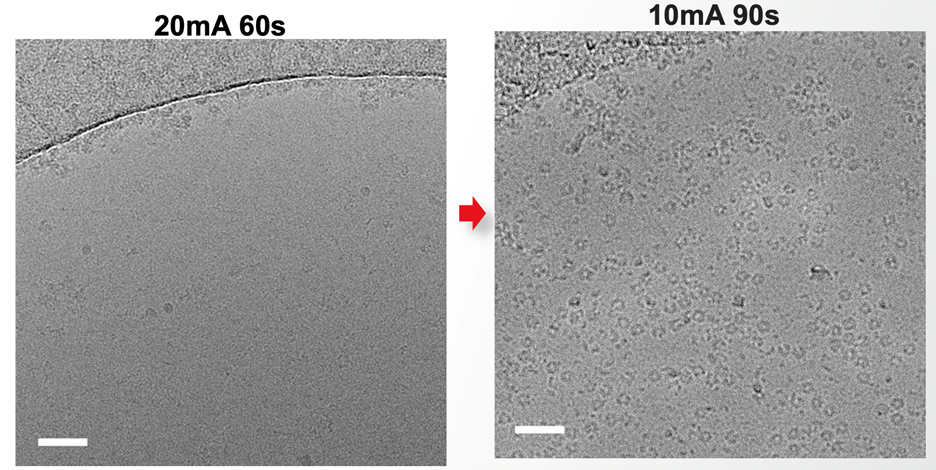 Differences in particle distribution resulting from different plasma treatments captured on Tundra Cryo-TEM