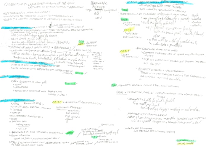 Florian Schur's notes for his European Research Council grant application.