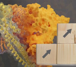 European Research Council grant