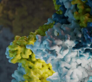 Protein structure used in prostate cancer research determined with cryo EM