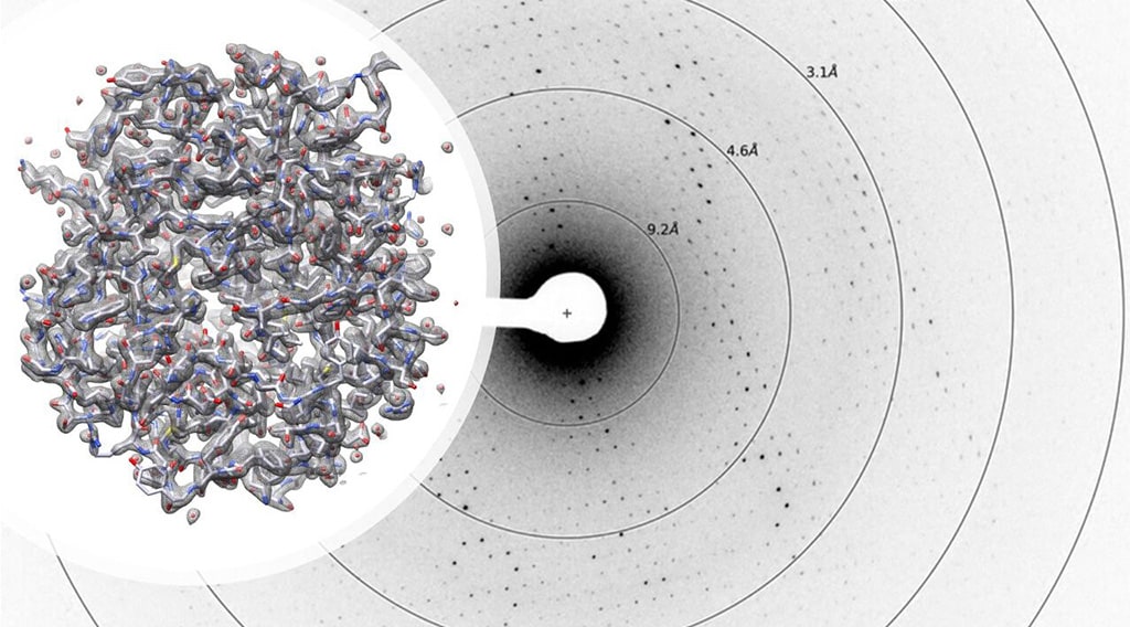 Protein structure determination with microcrystal electron diffraction.