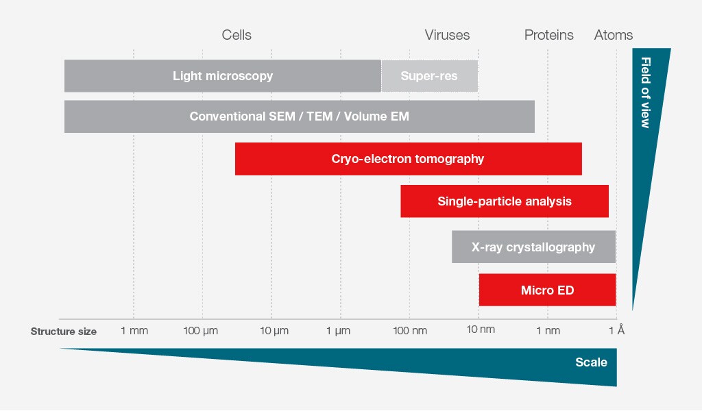 Comparison of cryo EM techniques
