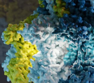 cryoEM-blog-virus pore