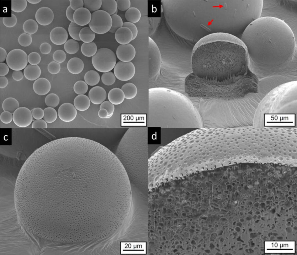 Microparticles loaded with isopropylmyristate, analyzed with FIB SEM.