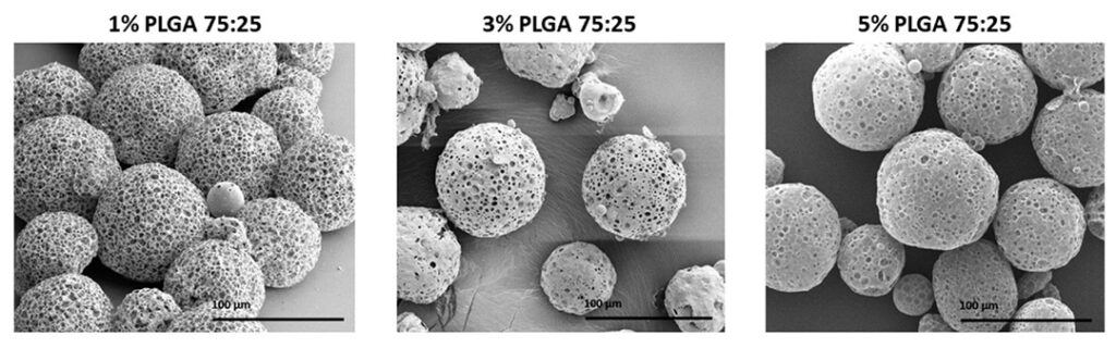 SEM imaging of microparticles with varying concentrations of PLGA.
