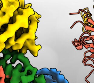 Targeted protein degradation as a novel therapeutic approach for undruggable diseases