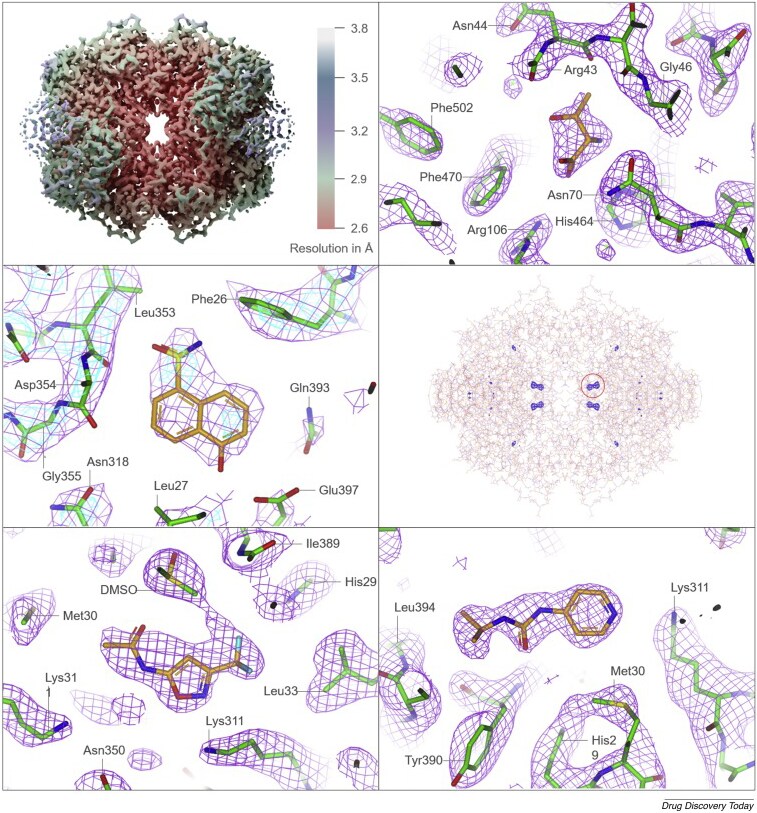 Fragment based drug discovery of small molecule fragments against β-galactosidase and the oncology drug target PKM2