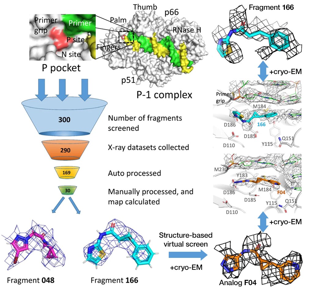 Fragment based drug discovery protocol that combines the complementary information of X-ray crystallography and cryo-EM