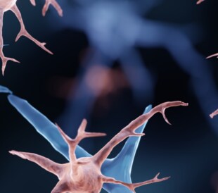 3D Tissue Histology with Light-Sheet Microscopy Enables Nondestructive Analysis of Microglia