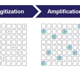 Digital PCR workflow graphic showing flow of Preparation to Digitization to Amplification to Quantification