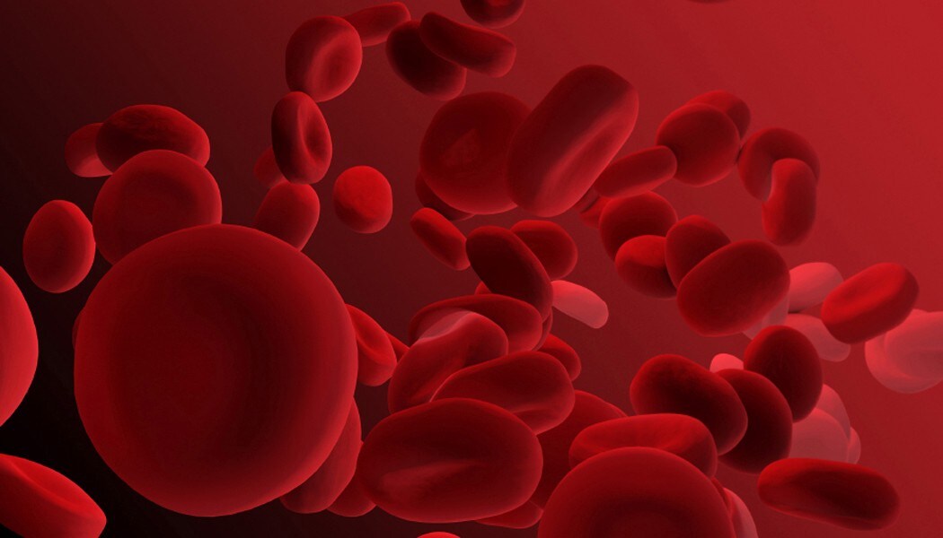 Science up Close BloodCells Card Sized