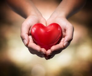 hand holding heart