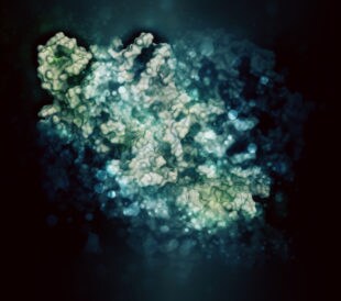 CRISPR-CAS9 gene editing complex from Streptococcus pyogenes