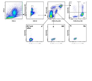 tnkupj for macrophages