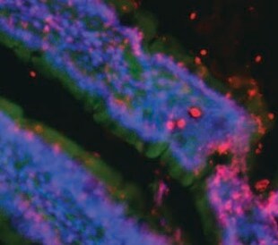 concept image representing multiplex