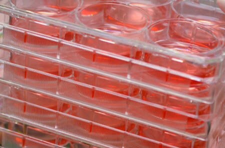 Why Use Mass Spectrometers for Mammalian Cell Fermentations?