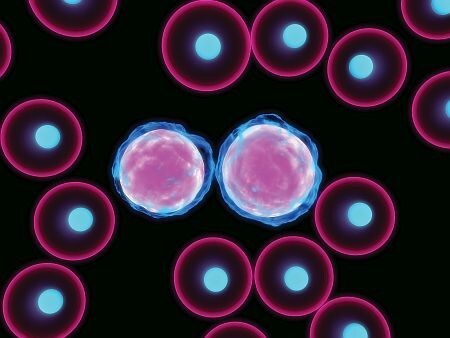 Leukemia Tumors