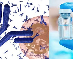 Repertoire Convergence