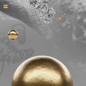 Dynabeads selection guide